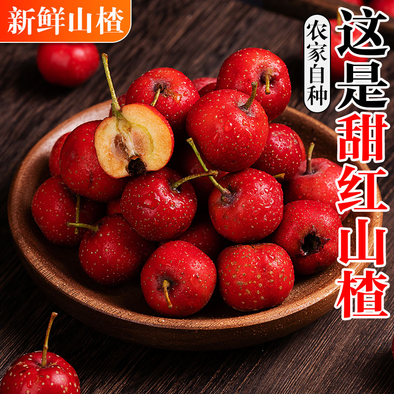 新鲜特级甜山楂鲜果山里红金星大五棱山楂汁大果糖葫芦山楂棒棒糖