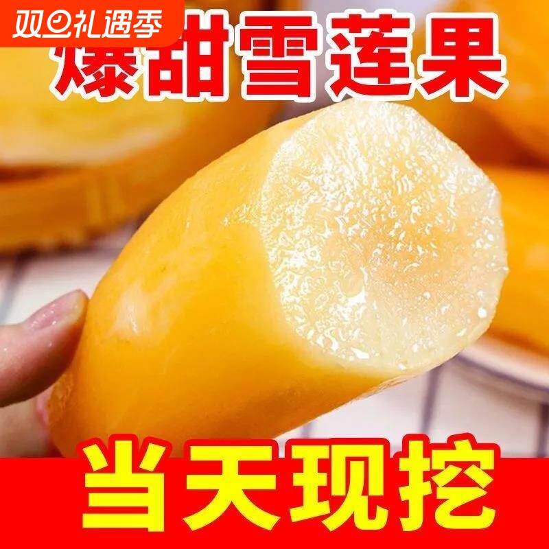 【商超】正宗云南天山雪莲果现挖现发高原脆甜雪仙果当季新鲜水果