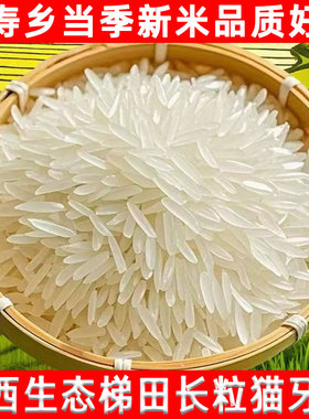 正宗梯田猫牙米现磨当季新米长粒胚芽大米农家自种优质丝苗米10斤