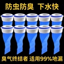 地漏防臭器下水道堵口器卫生间反味防返臭神器硅胶垫防虫内芯滤网