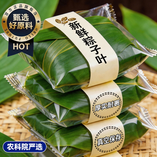 农科院粽叶新鲜粽子叶大号包粽子专用新鲜现摘箬叶子天然新货家用