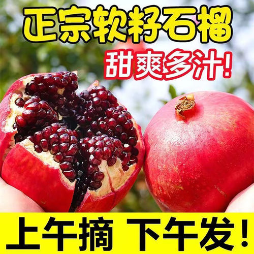 突尼斯软籽石榴红宝石新鲜水果四川会理无籽石榴当季整箱包邮