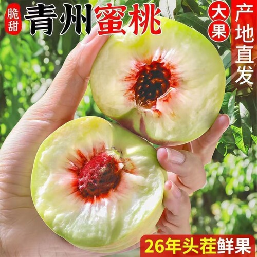 正宗青州蜜桃脆甜桃子新鲜水果冬雪蜜桃青毛桃蜜桃山东冬桃整箱