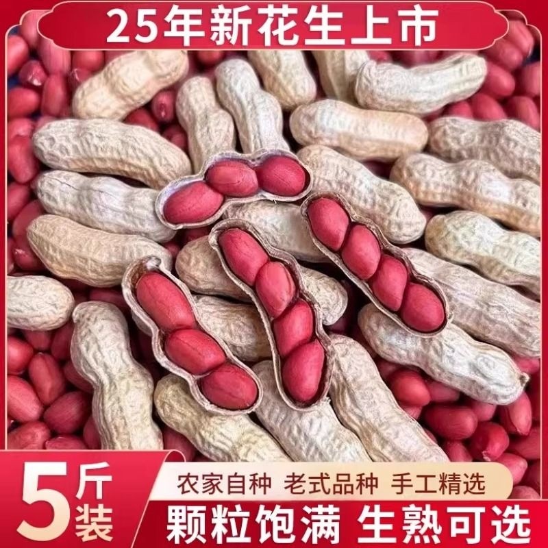 东北红皮花生2025年农家新货不带壳新鲜晒干四粒红花生米生熟自种