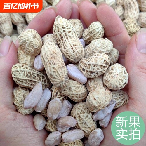 龙岩花生蒜香五香原味盐水白晒咸干水煮花生米带壳炒货晒干新鲜