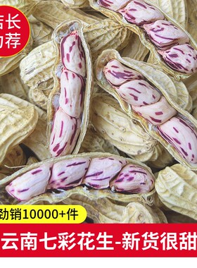 七彩五彩花生新货云南普洱七彩野地带壳水果新鲜晒干油炸健康大粒