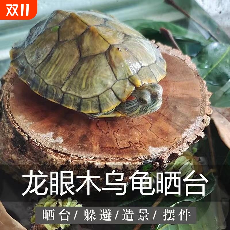 龙眼木晒台免煮天然乌龟晒台鱼缸造景沉木乌龟爬坡休息台调节水质