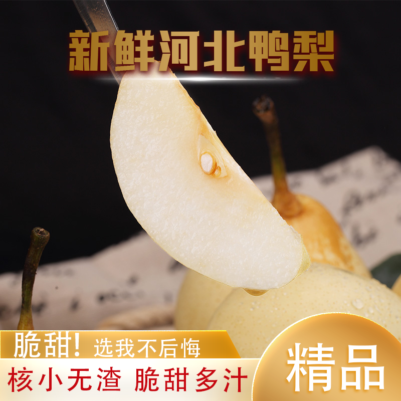 河北正宗鸭梨薄皮当季新鲜水果整箱包邮到家雪梨水晶梨