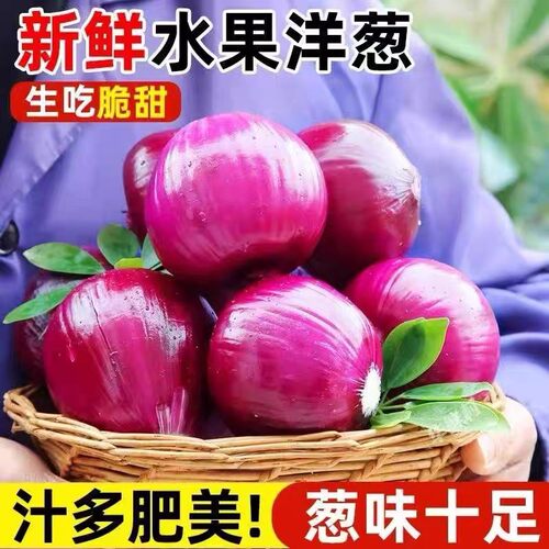 紫红皮水果洋葱新鲜当季红皮紫皮葱头圆葱批发生吃甜脆Y自种脆甜