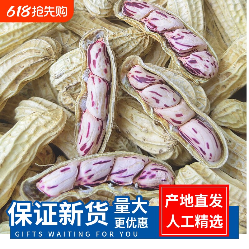七彩花生米云南特产带壳晒干2025花生种粒熟原味咸干水煮散装富硒