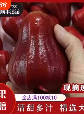 黑金刚莲雾水果顺丰 泰国进口5斤新鲜应季果批发包邮当季