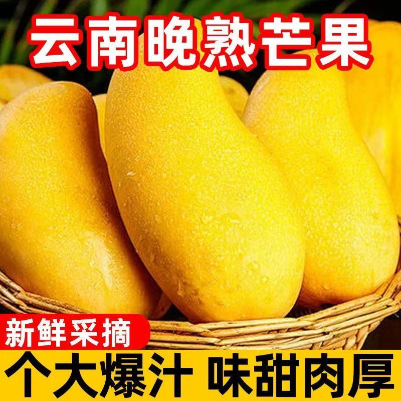 云南黄皮晚熟芒果晚熟芒果9斤新鲜现摘当季热带水果皮薄核小现摘图片