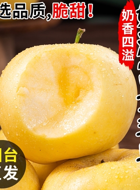 黄金奶油富士苹果山东烟台栖霞白色冰糖心新鲜水果牛奶5当季整箱