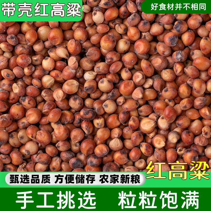 新货带皮红高粱米带壳未脱皮红高梁酿酒酿醋鸽子饲料杂粮