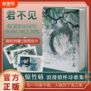 【飞机盒发货】 君不见  惊竹娇著 “你一句春不晚，我就到了真江南”作者S部青春诗集 长短句 少年意气与浪漫情怀现当代文学书籍