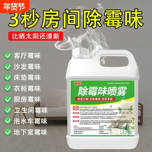 除霉味神器房间衣柜潮湿去霉味家用除异味地下室内防发霉味去除剂