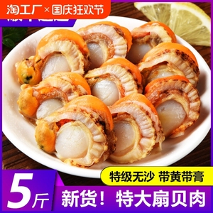 扇贝肉新鲜冷冻超大带黄带膏扇贝海鲜水产鲜贝肉蒜蓉扇贝商用批发