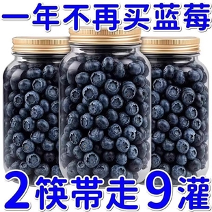 蓝莓干无糖无添加儿童孕妇代餐食品东北野生新鲜蓝梅干润喉糖批发