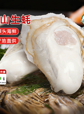 乳山生蚝生态牡蛎海鲜贝类鲜活海蛎子生鲜烧烤食材品质升级多规格