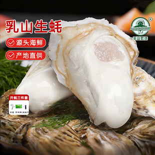 乳山生蚝生态牡蛎海鲜贝类鲜活海蛎子生鲜烧烤食材品质升级多规格
