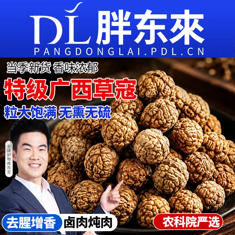 农科院特级草寇草蔻正宗广西香料肉蔻新货果旗舰店炖调料大料食用