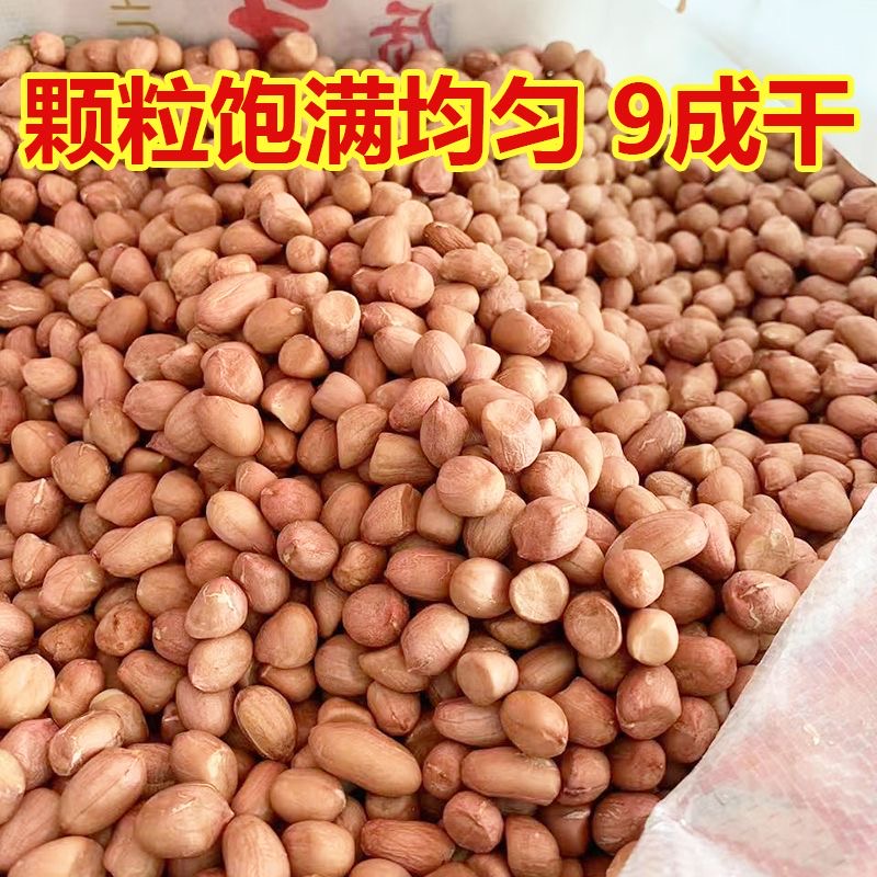 农家现剥新花生粉红皮花生米无壳新鲜南阳产白沙花生仁油炸下酒菜