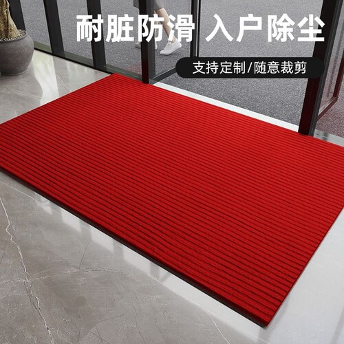 入户门门垫定制商用地垫面积防滑吸水满铺进门脚垫子走廊地毯除尘 - 封面