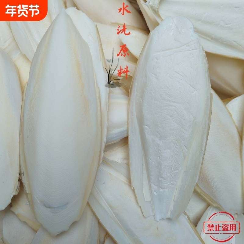 水洗墨鱼骨原料打孔宠物磨牙用鹦鹉鸟类啃咬玩具乌贼骨纯天然新品