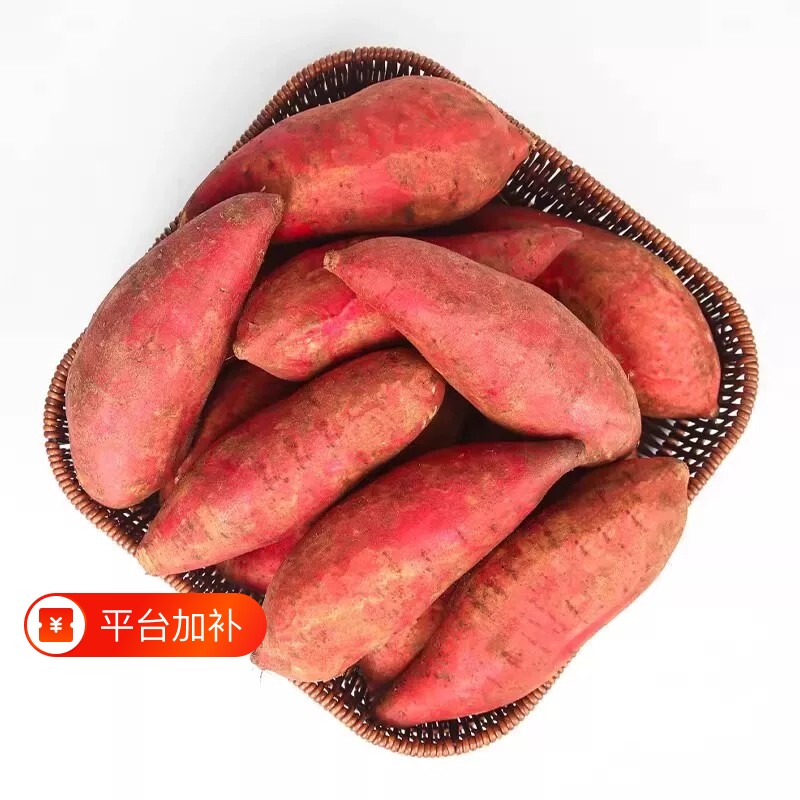 榴莲蜜薯现发小红薯新鲜番薯新红薯大果现挖营养烤红薯正宗
