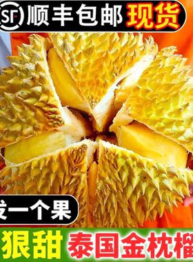 金枕榴莲带壳鲜果当季新鲜泰国整个巴掌顺丰包邮鲜水果冷冻托曼尼