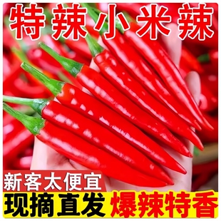 小米辣椒新鲜特辣朝天商用批发小米椒5斤红椒指薄皮辣椒农家自种