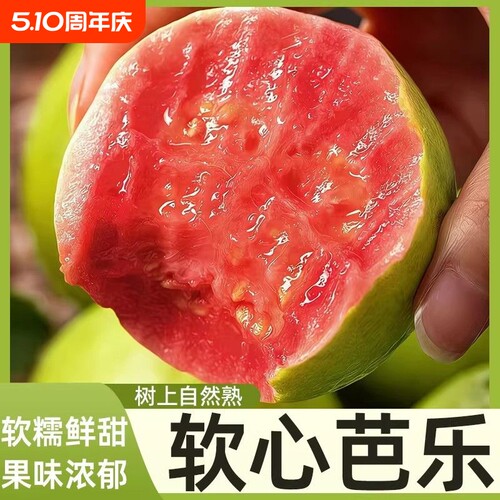 福建红心芭乐软糯甜芭乐果新鲜孕妇水果番石榴软心自提现摘