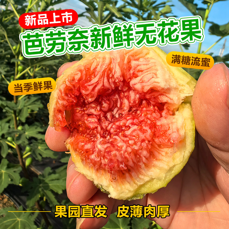 顺丰包邮新鲜无花果红皮鲜果孕妇儿童波姬红/芭劳奈水果整箱大果