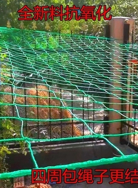 园艺植物爬藤网攀爬种植搭架丝瓜百香果豆角藤蔓花卉网农用葡萄棚