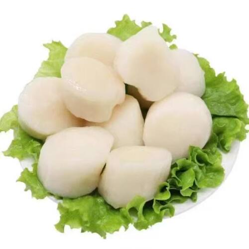新鲜瑶柱干扇贝肉元贝江瑶贝柱扇贝柱带子肉刺身级海鲜鲜冷冻