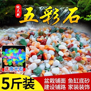 彩石雨花石鱼缸装饰造景底部砂石头火山石溪流石子原石天然石花盆