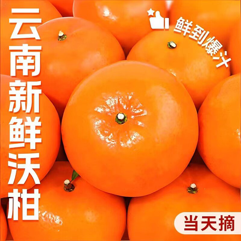 沃柑新鲜水果应当季整箱时令10砂糖斤蜜桔皇帝柑橘子非广西武鸣,水产肉类/新鲜蔬果/熟食,桔子,淘宝优惠券,粉丝福利购,淘宝优惠卷