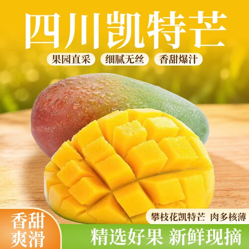 正宗四川攀枝花凯特芒超甜芒果