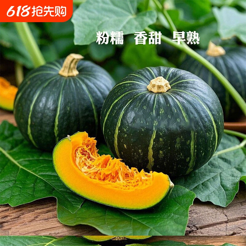 正宗贝贝南瓜甜板栗小南瓜四季蔬菜软糯香甜贝贝瓜