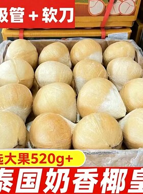 泰国进口小奶椰皇香水椰老椰子孕妇新鲜水果包邮椰青优选奶香椰汁