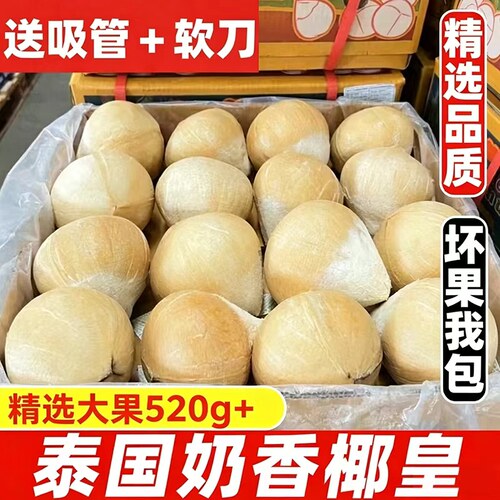 泰国进口小奶椰皇香水椰老椰子孕妇新鲜水果包邮椰青椰果优选奶香