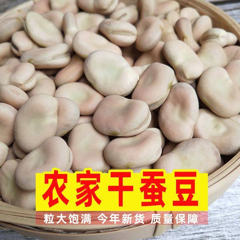 云南特产白蚕豆干货生蚕豆干蚕豆胡豆白皮罗汉豆种子豆新货散装