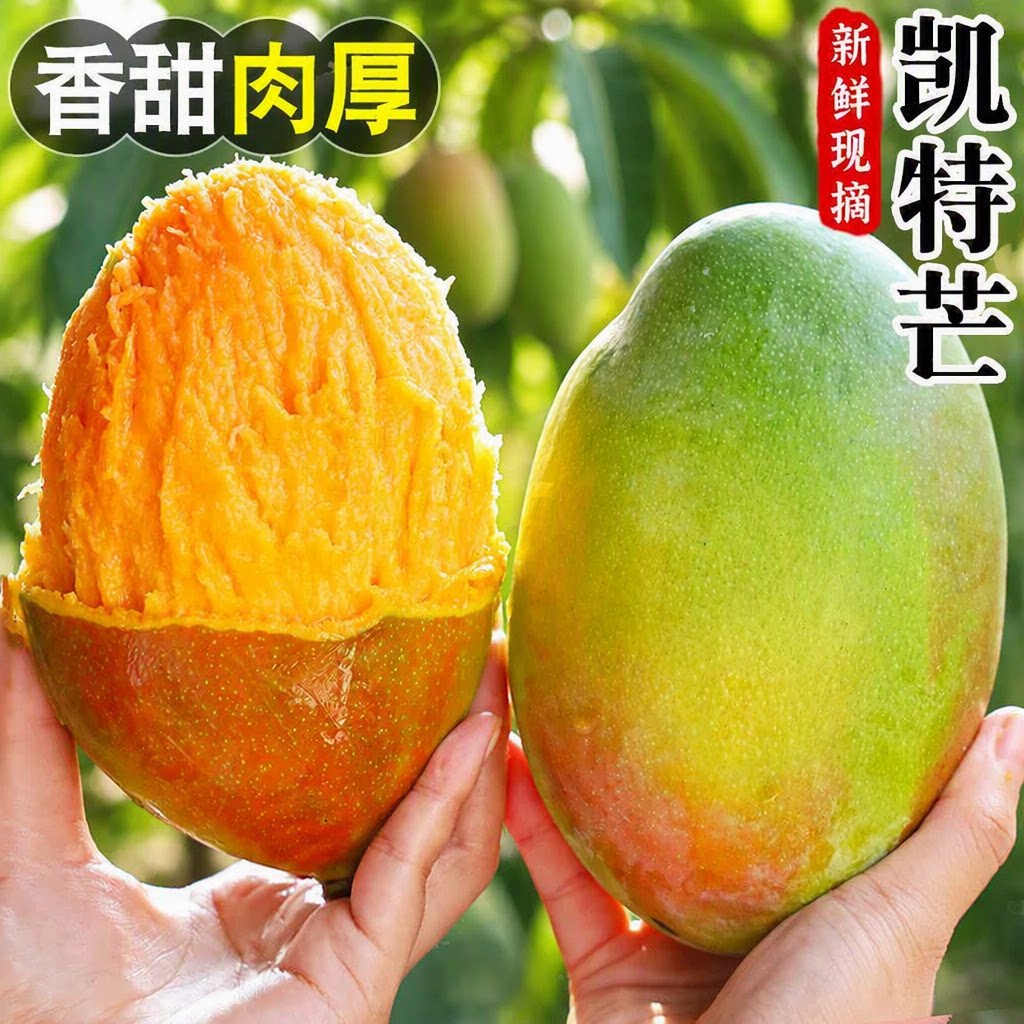 正宗攀枝花凯特芒爆甜多汁图片