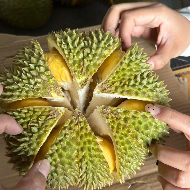泰国当季新鲜甲仑榴莲带壳整果一整颗水果鲜果