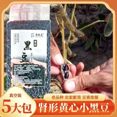 新货肾形黄芯小黑豆老品种非转基因打豆浆发豆芽杂粮粥醋泡黑豆