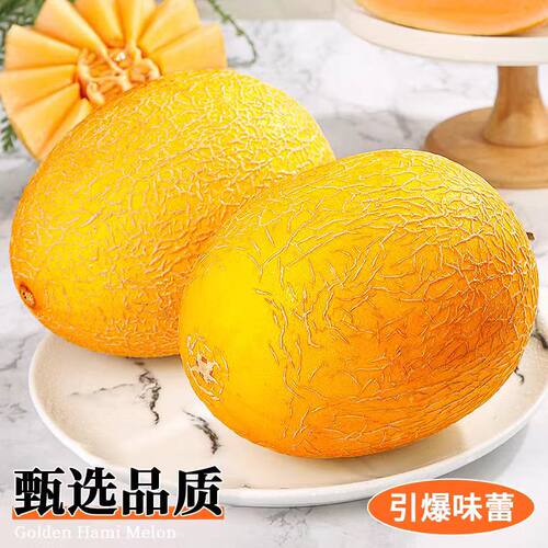 哈密瓜新疆黄金蜜瓜金色玫珑瓜火焰山当季新鲜水果整箱网纹