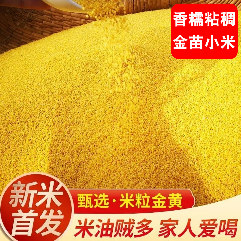优质黄金苗小米袋装5斤装煮粥软糯新货小米煮粥正宗黄小米