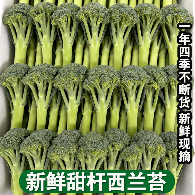 广西桂林高山新鲜甜杆西兰苔芦笋西蓝苔花农家时令冷门现摘蔬菜青