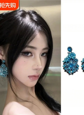 独特绝美蓝色流苏耳环2026新款高级感花朵多巴胺夸张耳钉爆款女饰