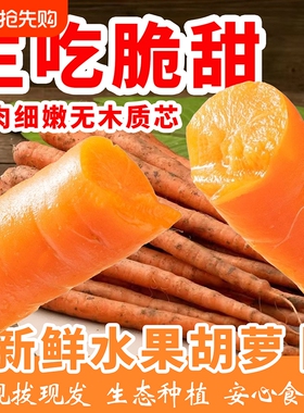 正宗水果胡萝卜新鲜生吃手指胡萝卜黄色紫色低脂代餐辅食新鲜带泥